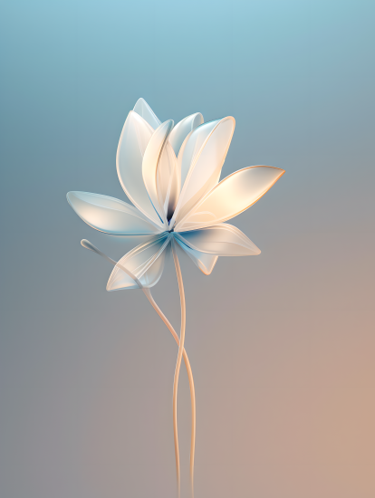 简约柔和花瓣摄影图