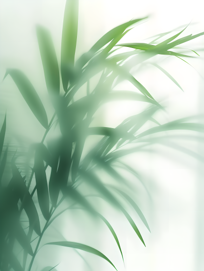 小清新植物叶片近景图片