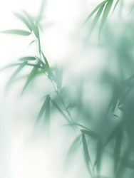 小清新植物朦胧感图片