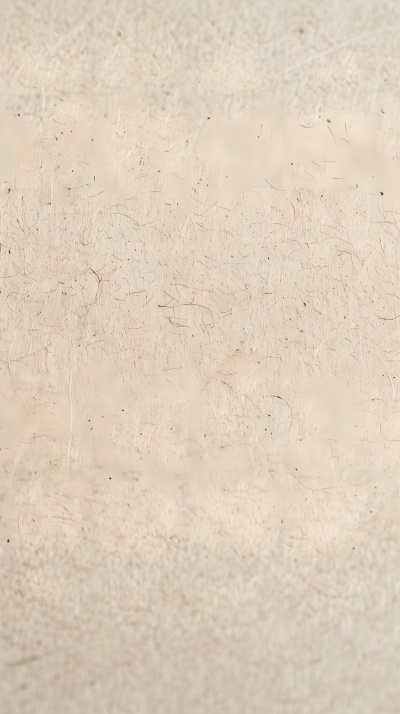 颗粒感纸张纹理背景图片
