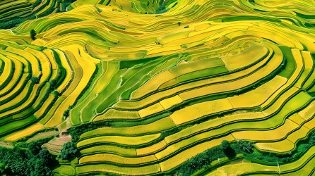 乡村梯田风景图片