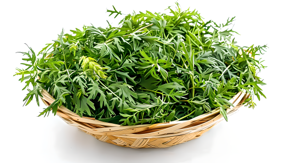 艾草清新图片
