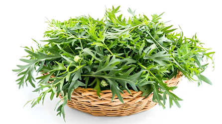 艾草创意图片