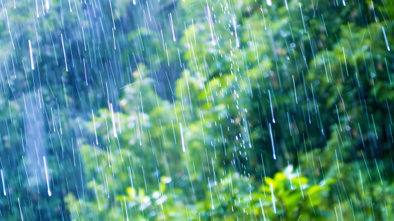山中暴雨图片