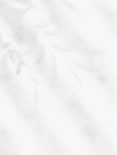 白色背景纹理图片