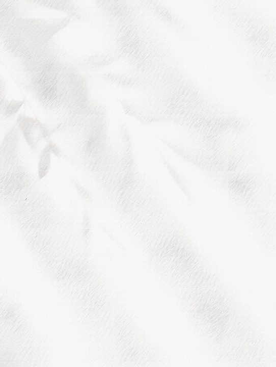 白色背景纹理版权图片下载