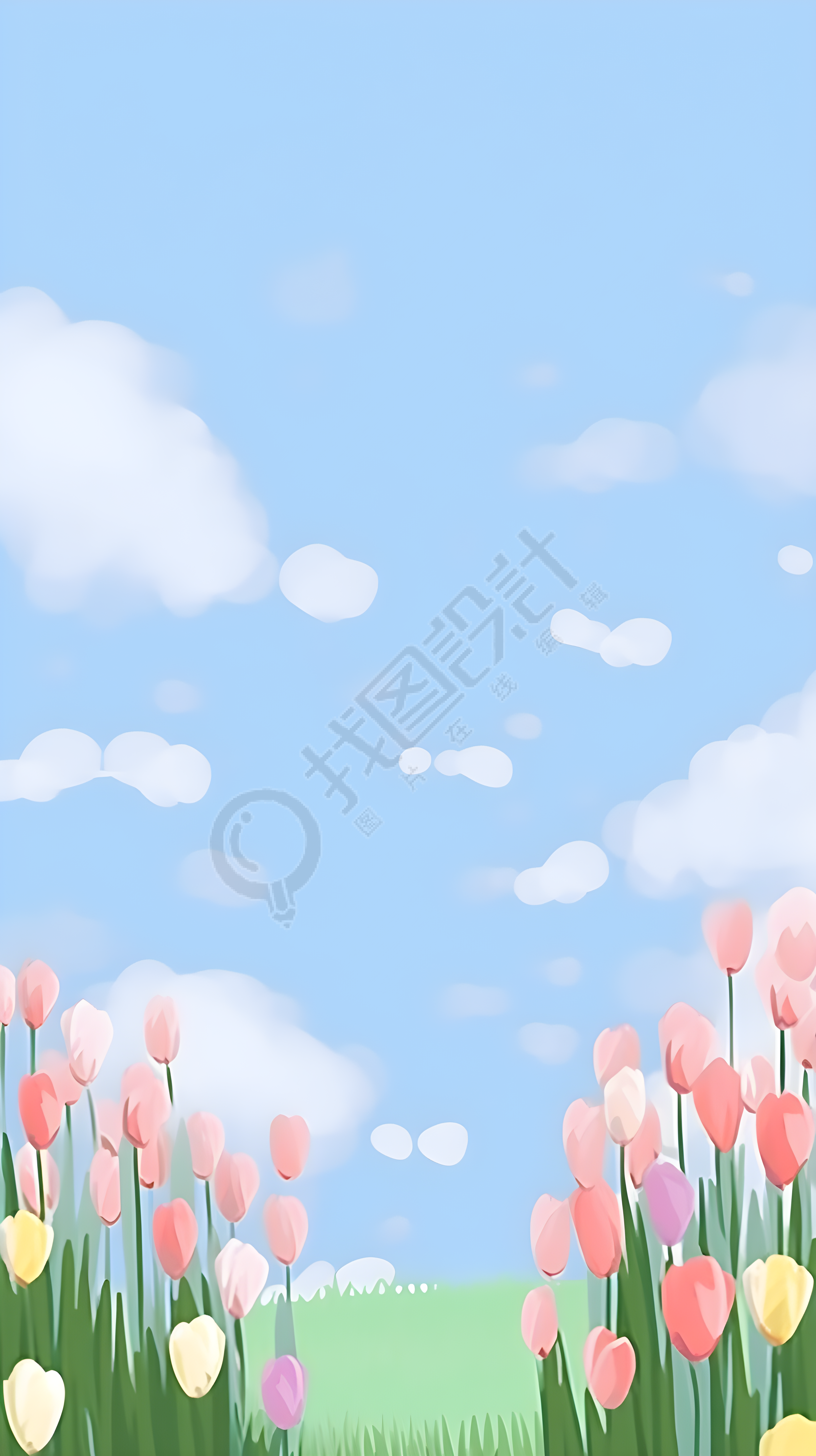 唯美红色郁金香蓝天白云背景