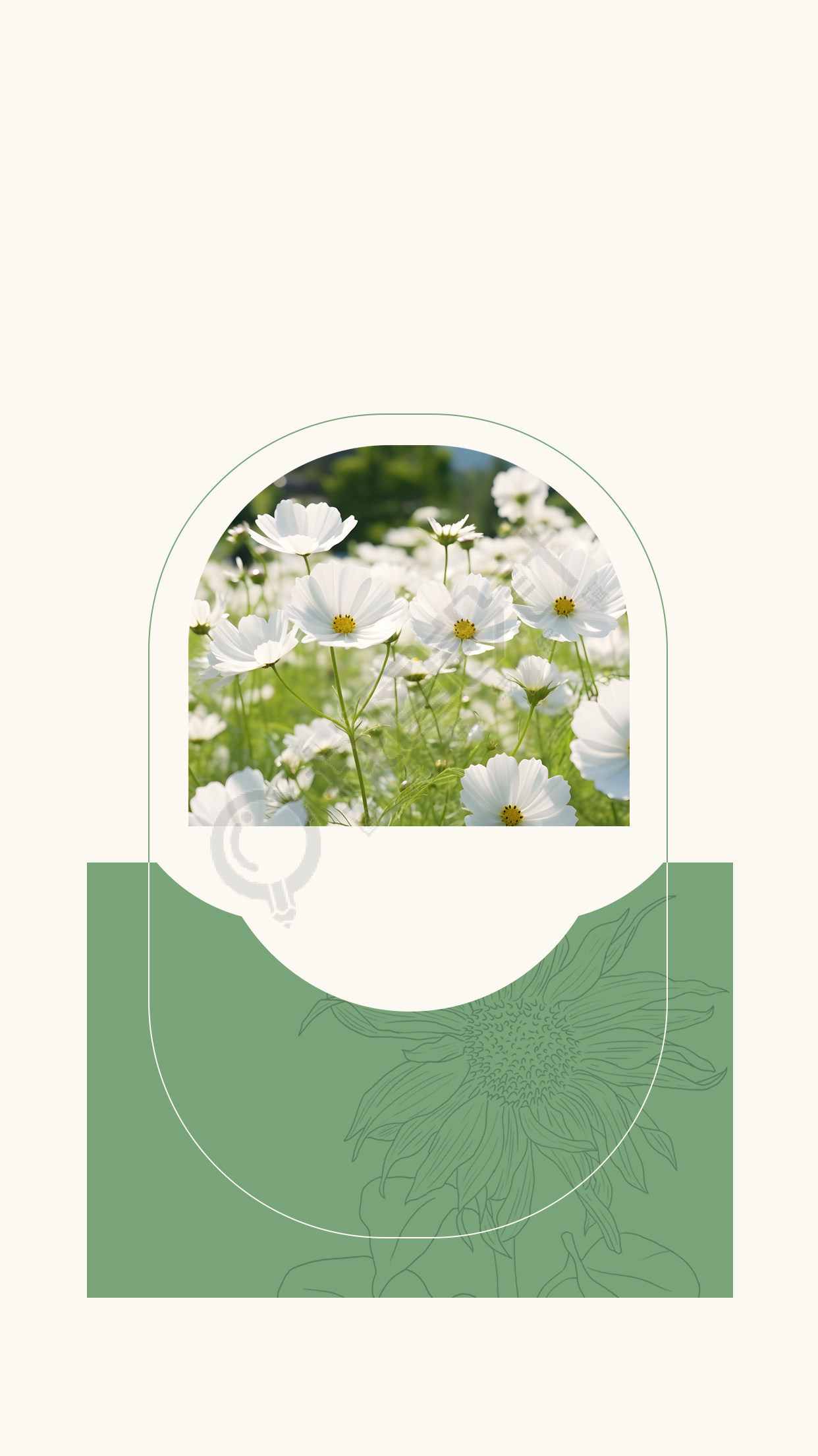 创意绿色信封鲜花实景背景