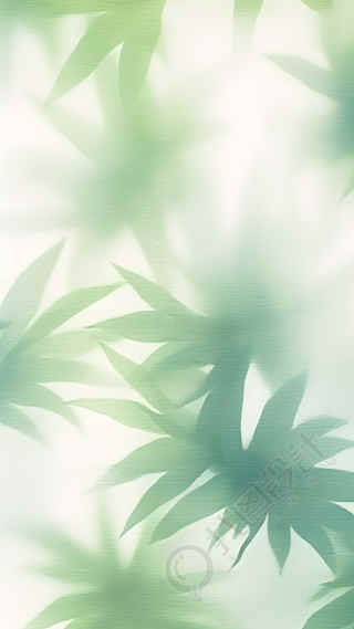 阳光下的绿叶创意背景