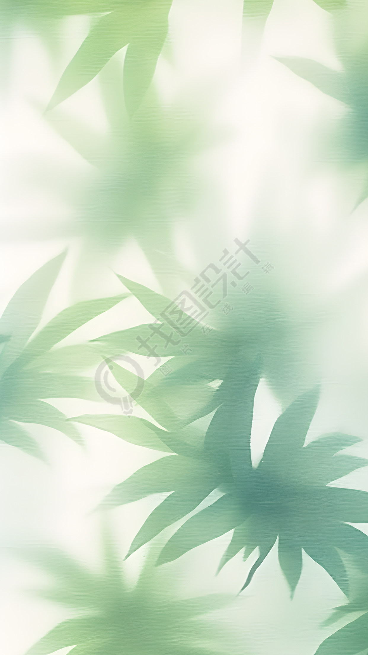 阳光下的绿叶创意背景