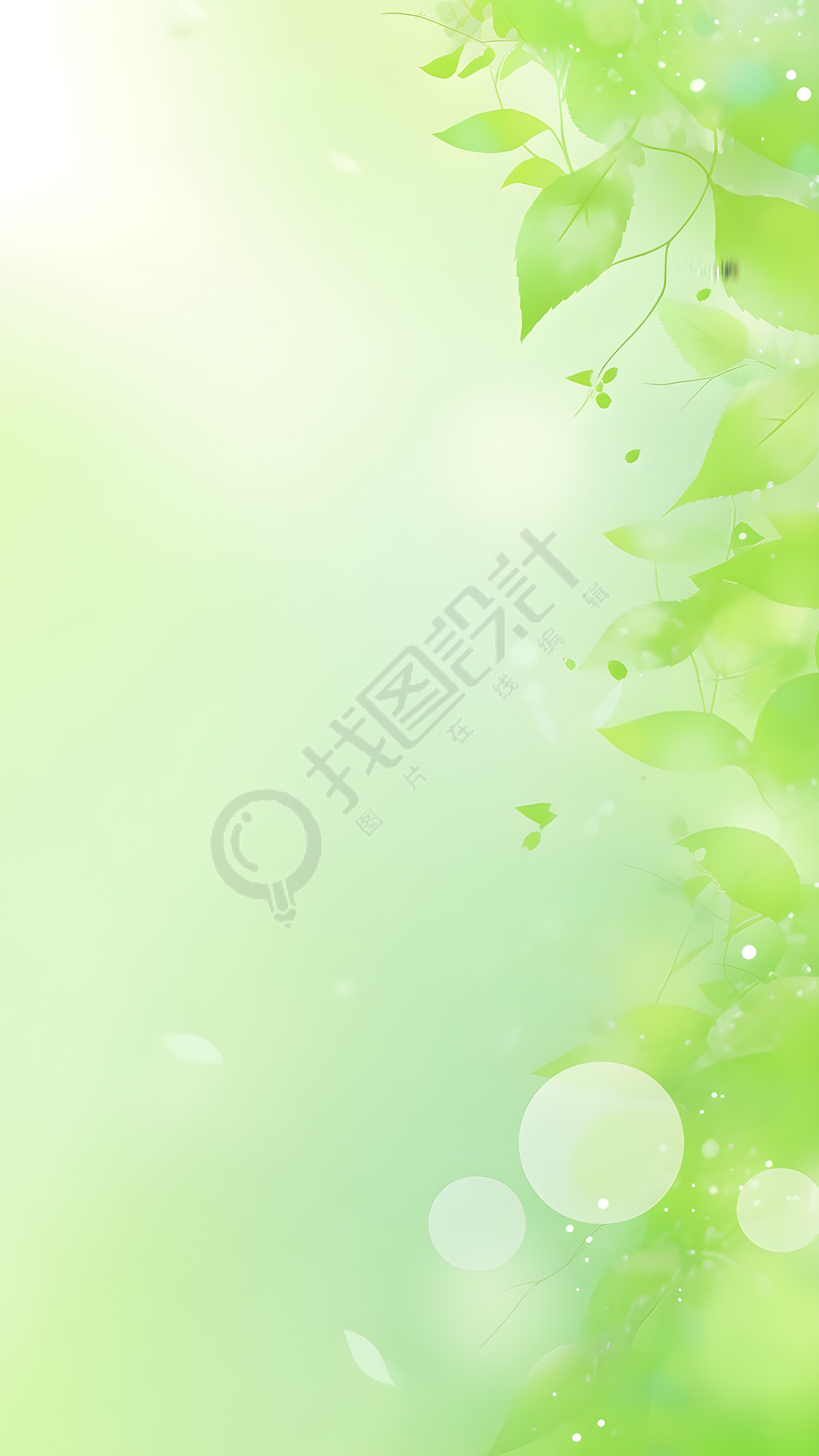 阳光下的绿色叶片背景