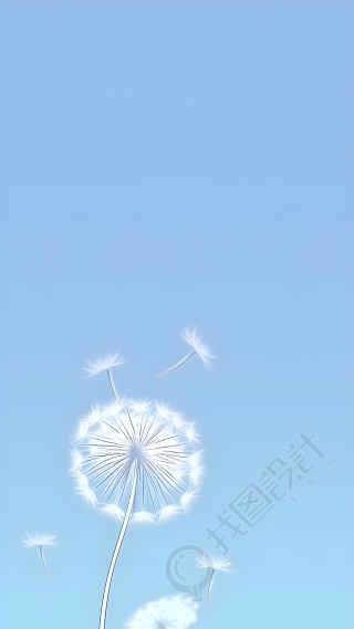 清澈蓝天下的蒲公英背景