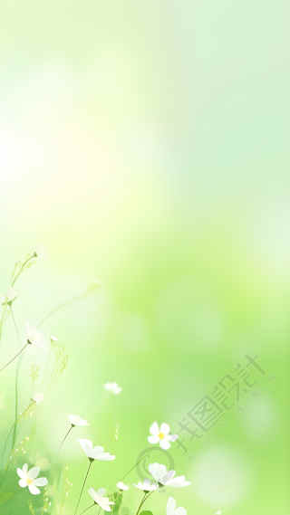 小清新绿色光影白色小花背景