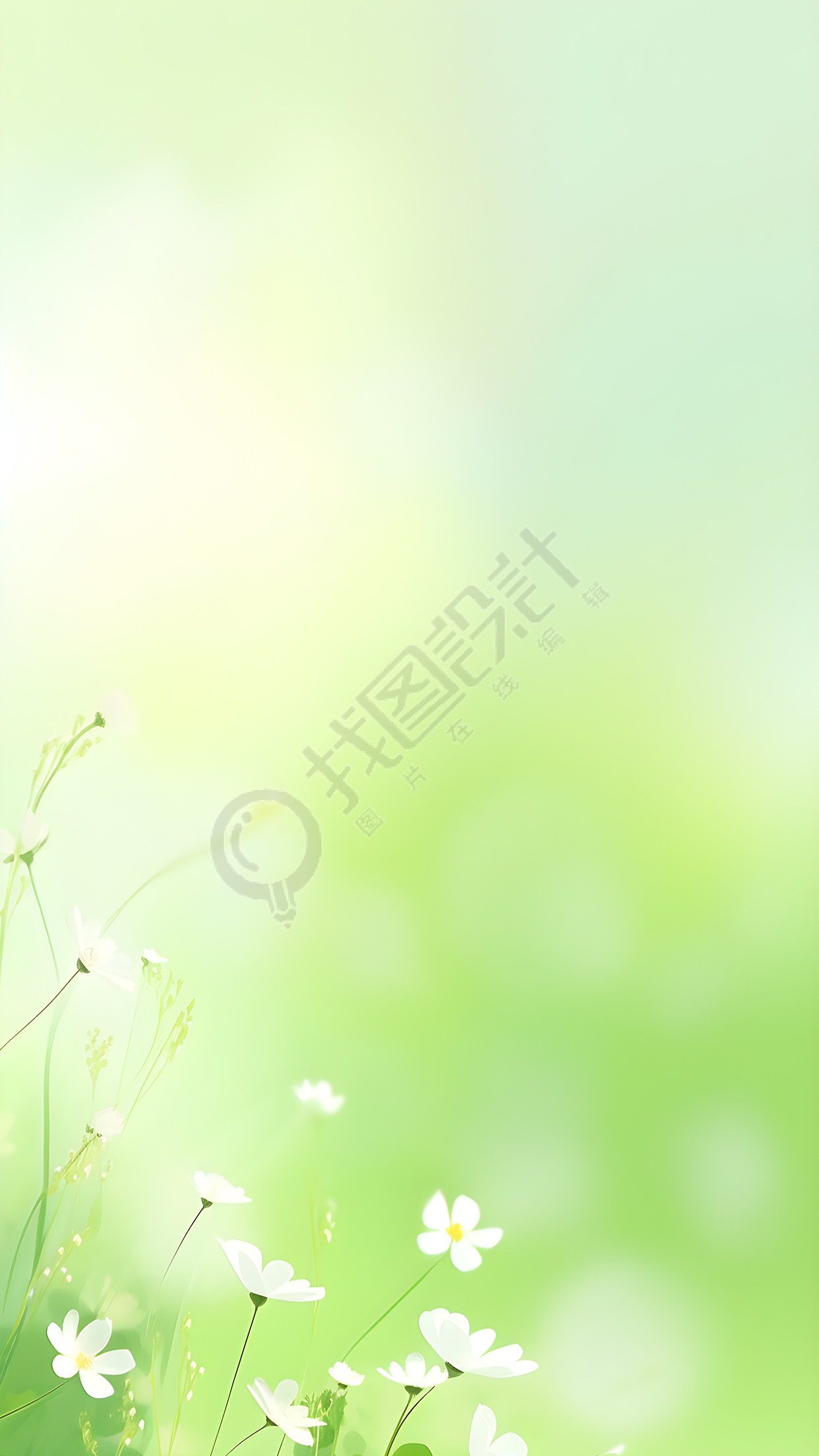 小清新绿色光影白色小花背景