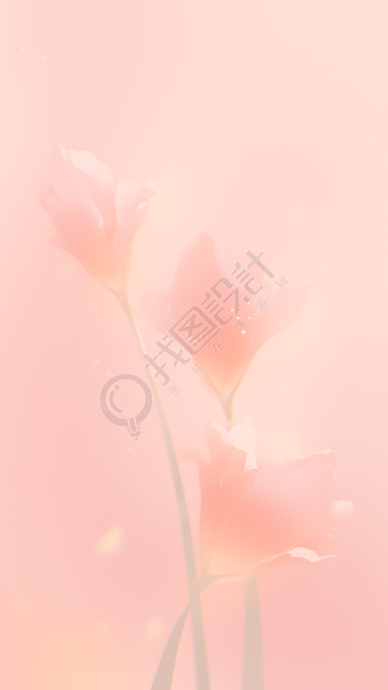 梦幻朦胧的鲜花背景