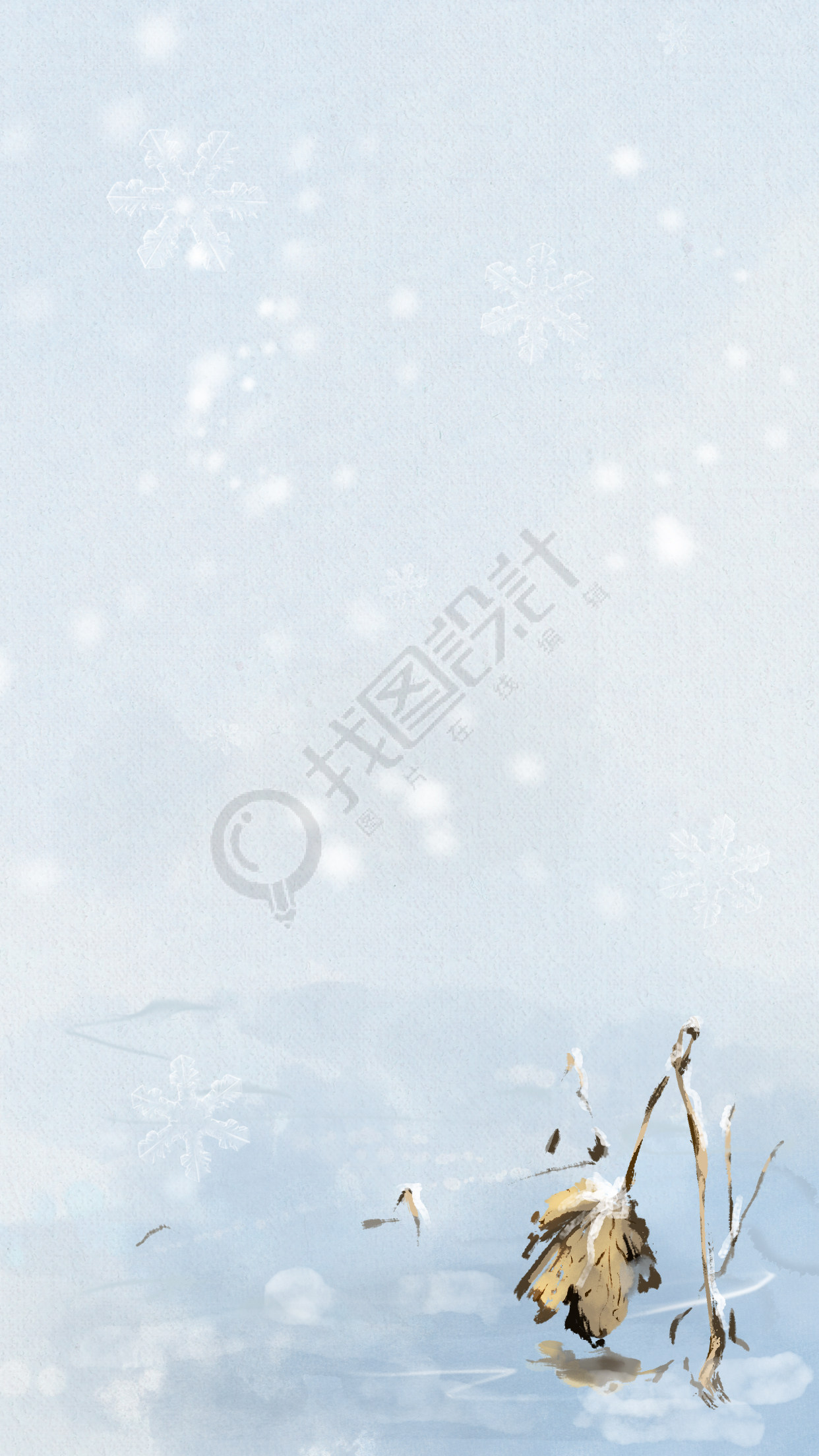 大雪中的枯荷叶实景背景