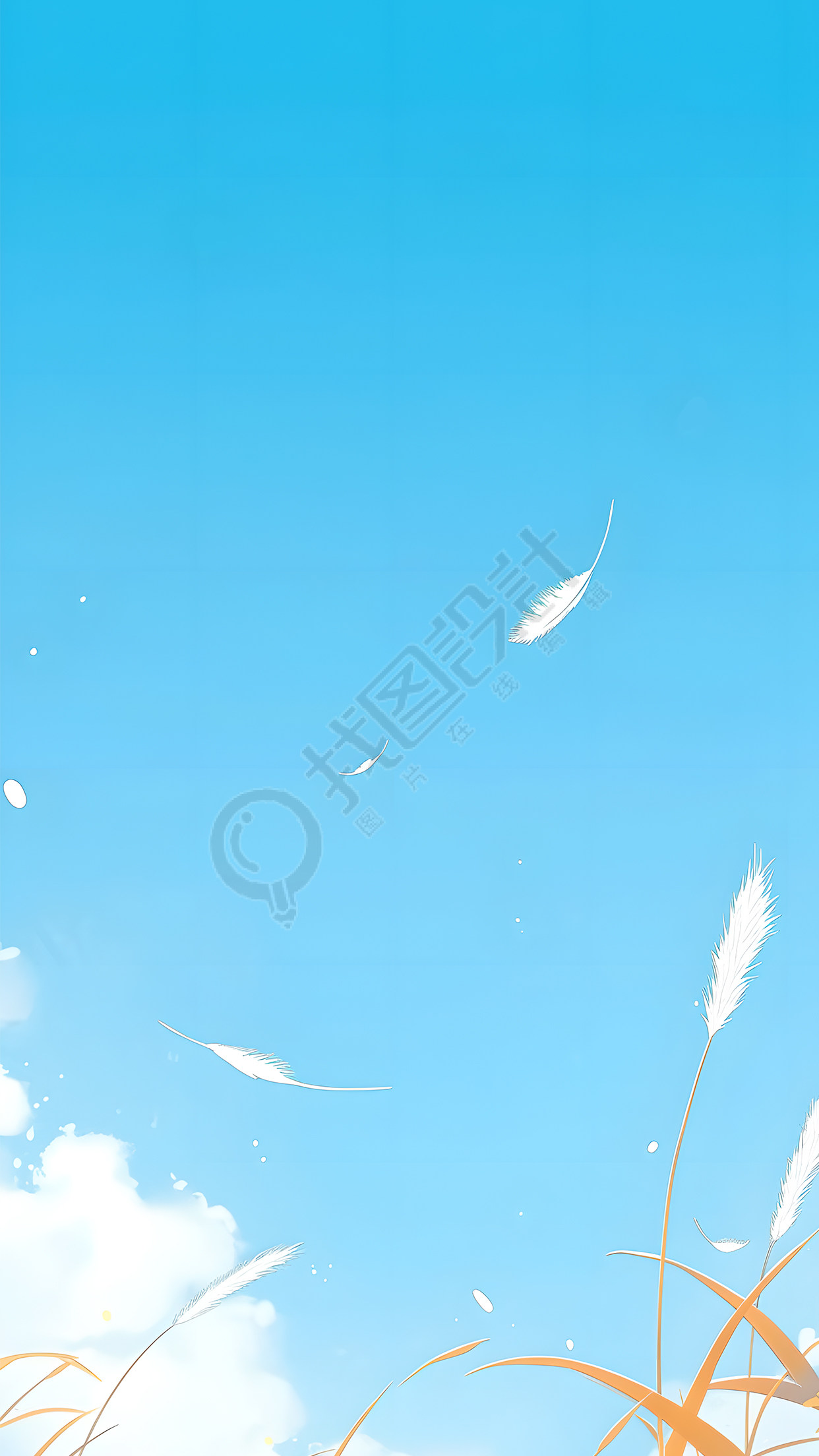 清澈蓝天白芦苇背景