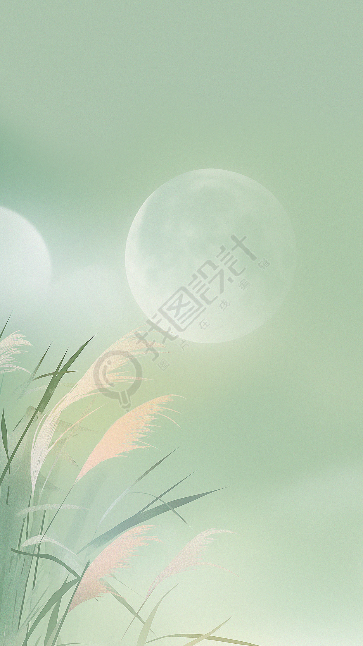 二十四节气白露背景
