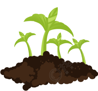 绿色植物/小草