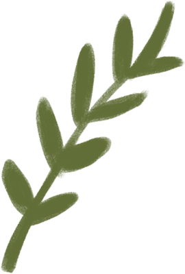 植物叶子