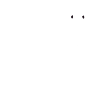 幽灵