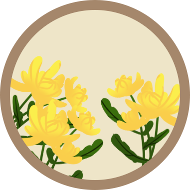菊花/重阳节