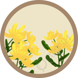 菊花/重阳节