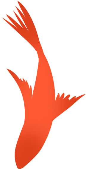 鱼