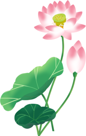 荷花