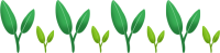 小草