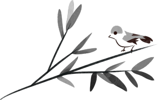 植物/小鸟