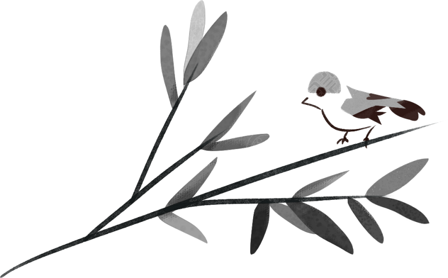 植物/小鸟