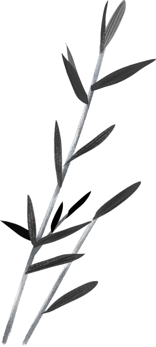 竹子