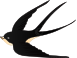 大雁