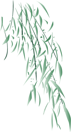 柳条