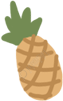 菠萝