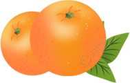 橙子