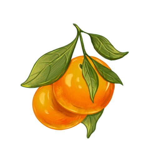 橙子
