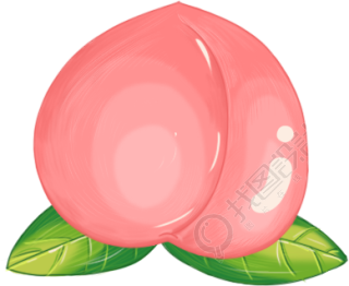 桃子