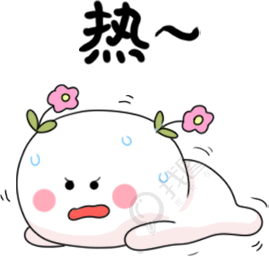 小白