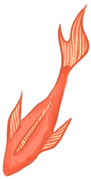 鲤鱼