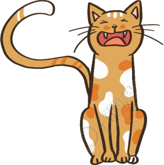 猫咪