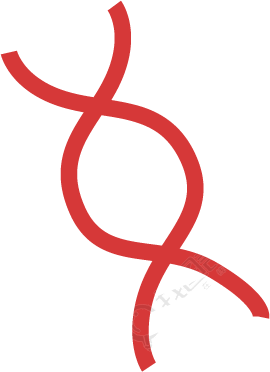 分子