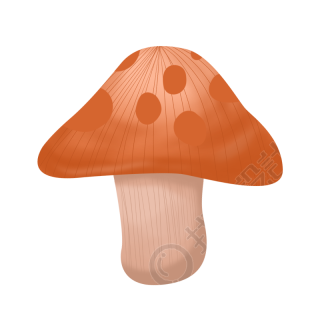 蘑菇