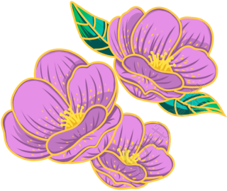 紫色花朵