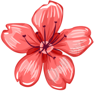手绘季节红色花朵