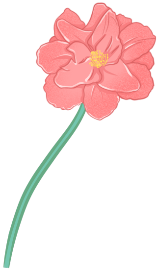 手绘立体花卉