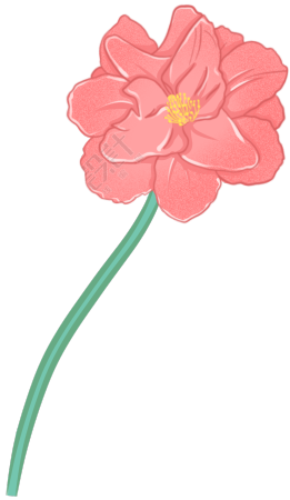 手绘立体花卉