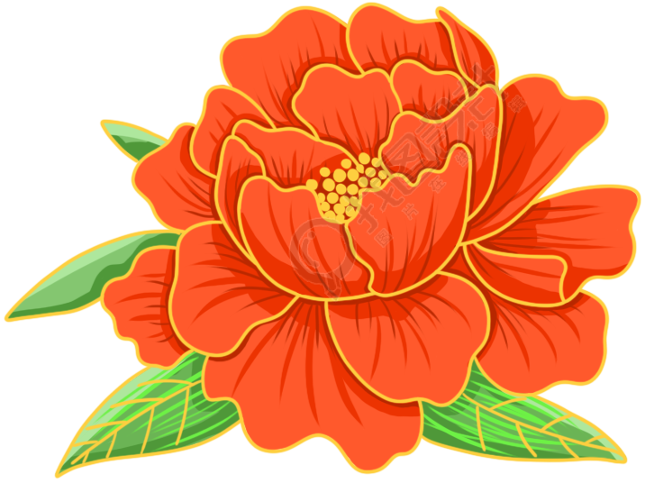 牡丹花