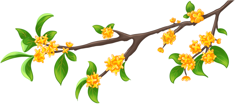 桂花